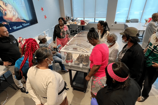 Screenshot 2024-02-08 at 10.51.50 AM